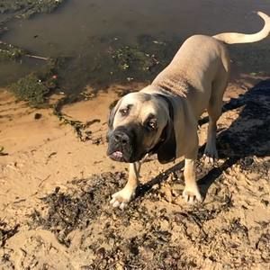 Meet your Posher, Paris